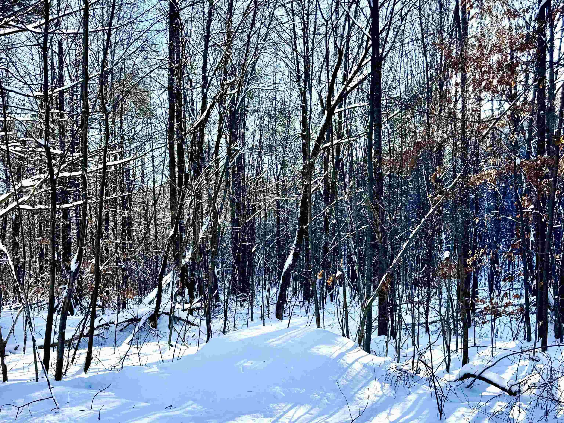 Us Route 302 Bartlett NH 03812