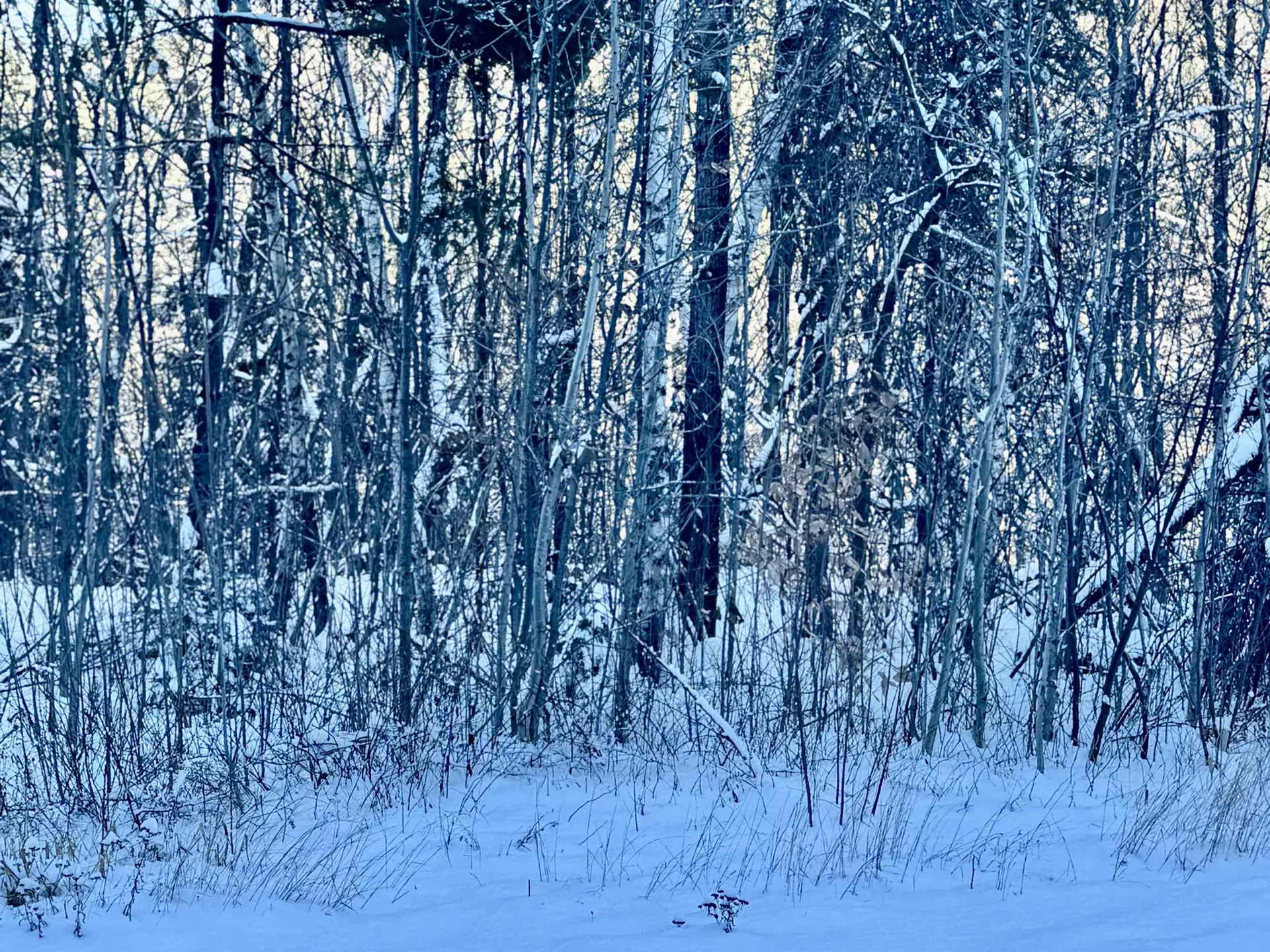 Us Route 302 Bartlett NH 03812