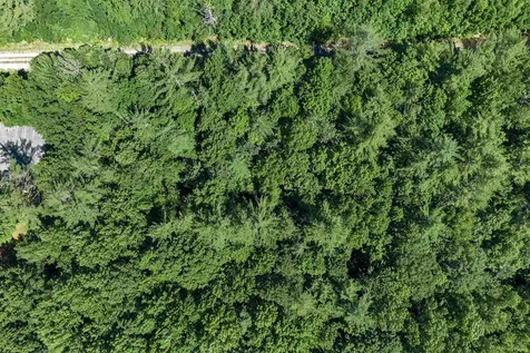 Us Route 302 Bartlett NH 03812