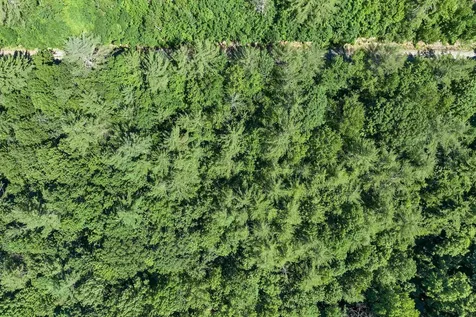 Us Route 302 Bartlett NH 03812