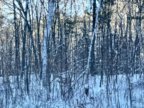 Us Route 302 Bartlett NH 03812