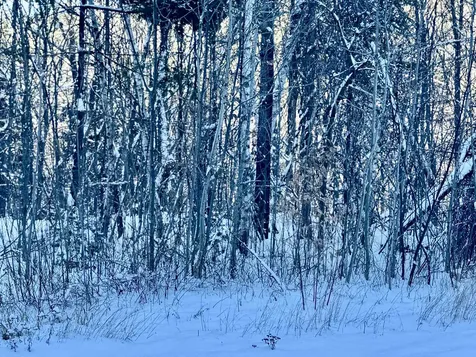 Us Route 302 Bartlett NH 03812