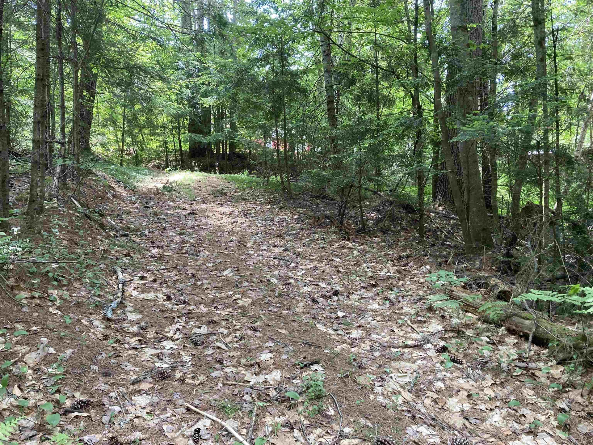 Highland Avenue Canaan NH 03741