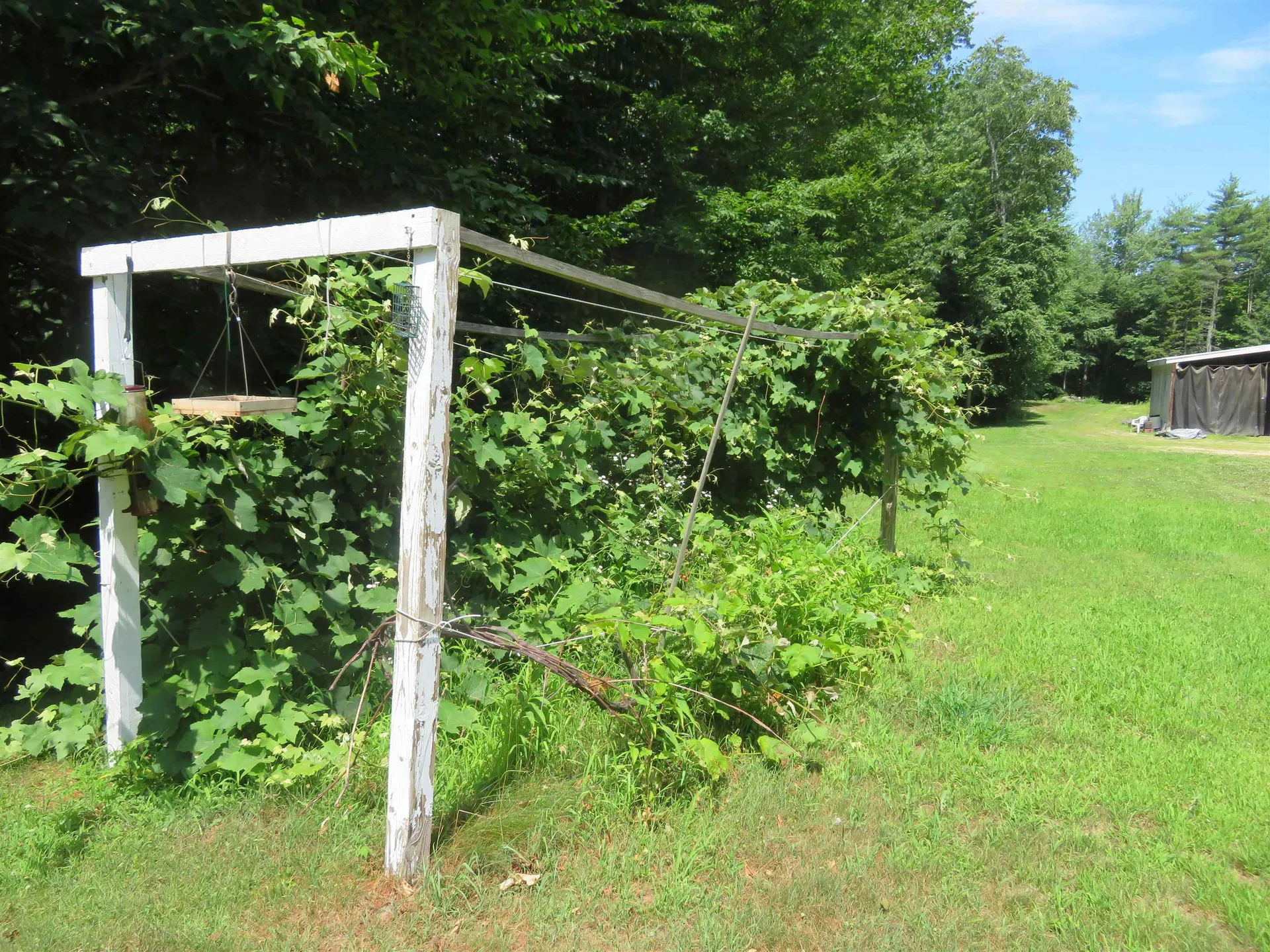 93 Lily Pond Road Alton NH 03809