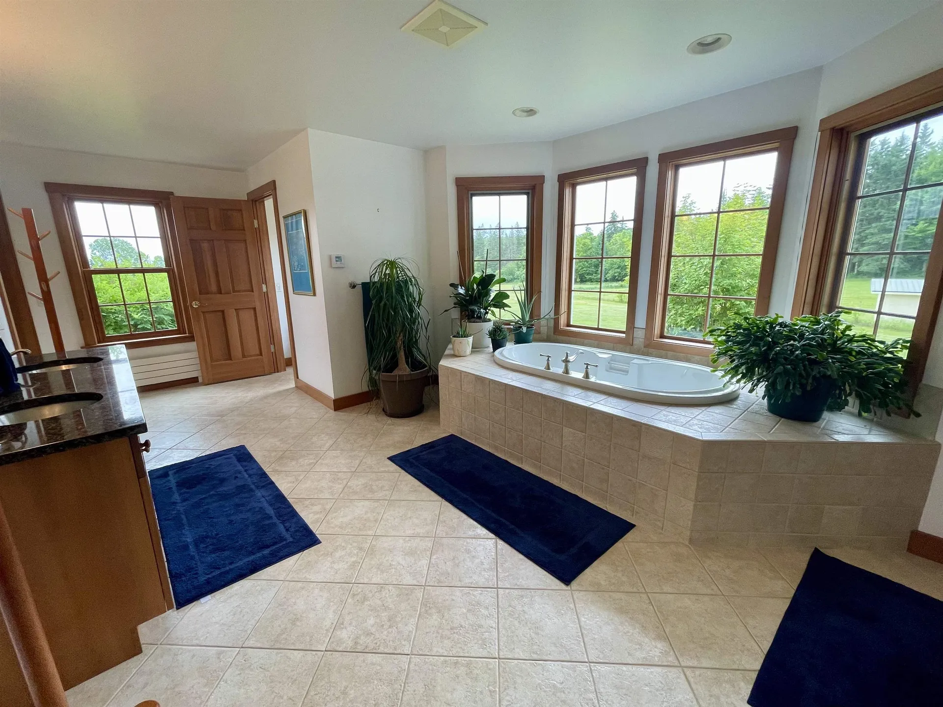 615 Vertical Mile Road Wheelock VT 05851