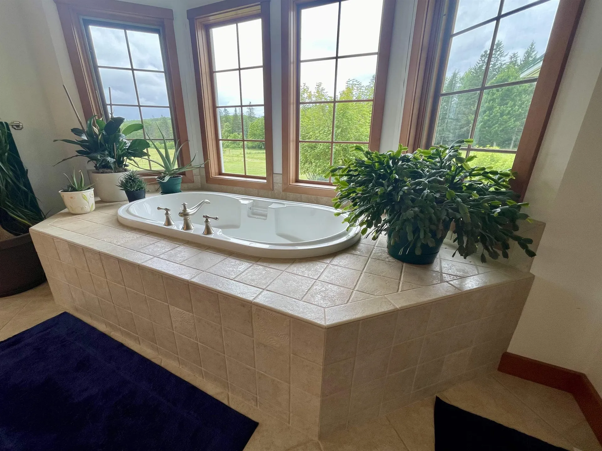 615 Vertical Mile Road Wheelock VT 05851