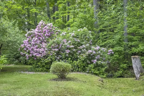 50 Jaffrey Road Marlborough NH 03455