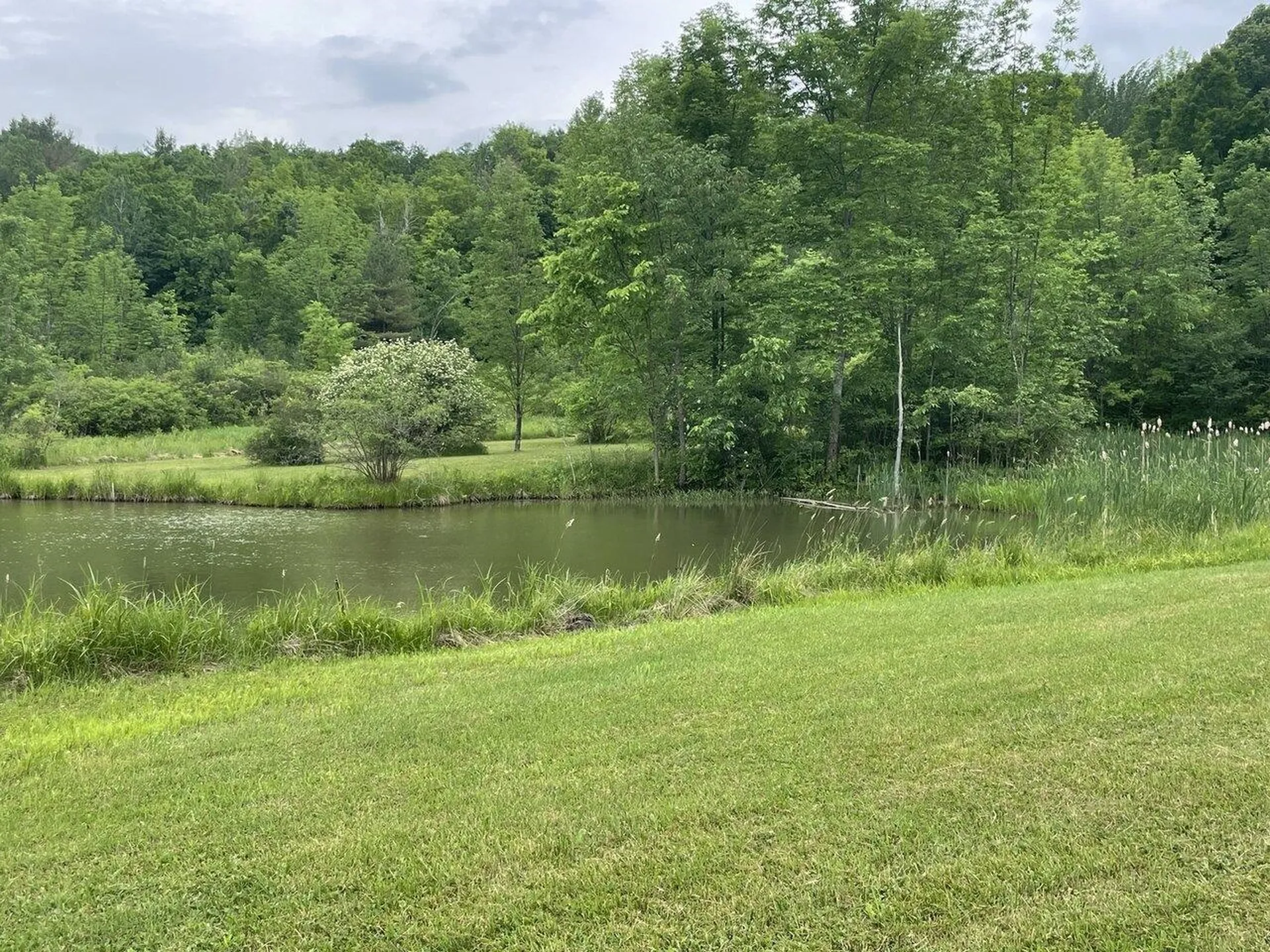327 Charlotte Road Hinesburg VT 05461