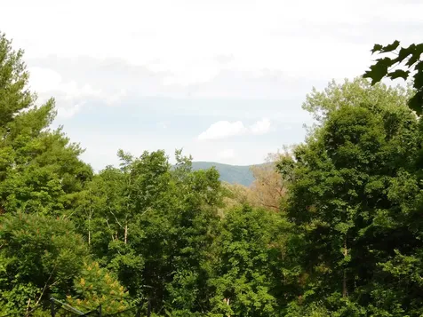 22 River Street Brandon VT 05733