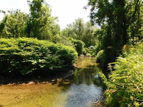 22 River Street Brandon VT 05733