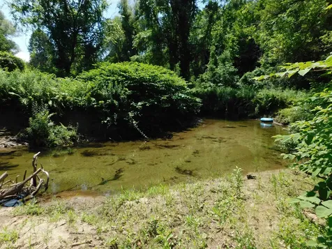 22 River Street Brandon VT 05733