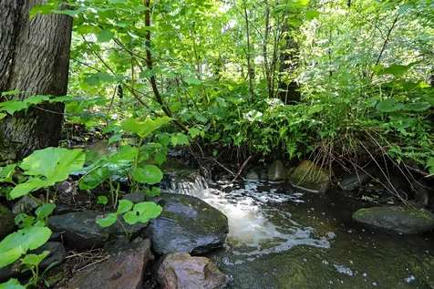 5551 Noyestar Road Walden VT 05836