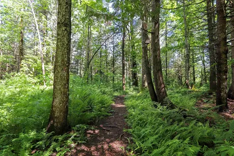 5551 Noyestar Road Walden VT 05836