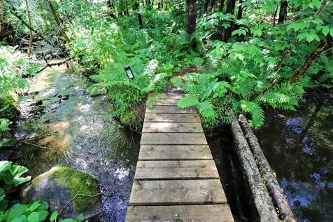 5551 Noyestar Road Walden VT 05836