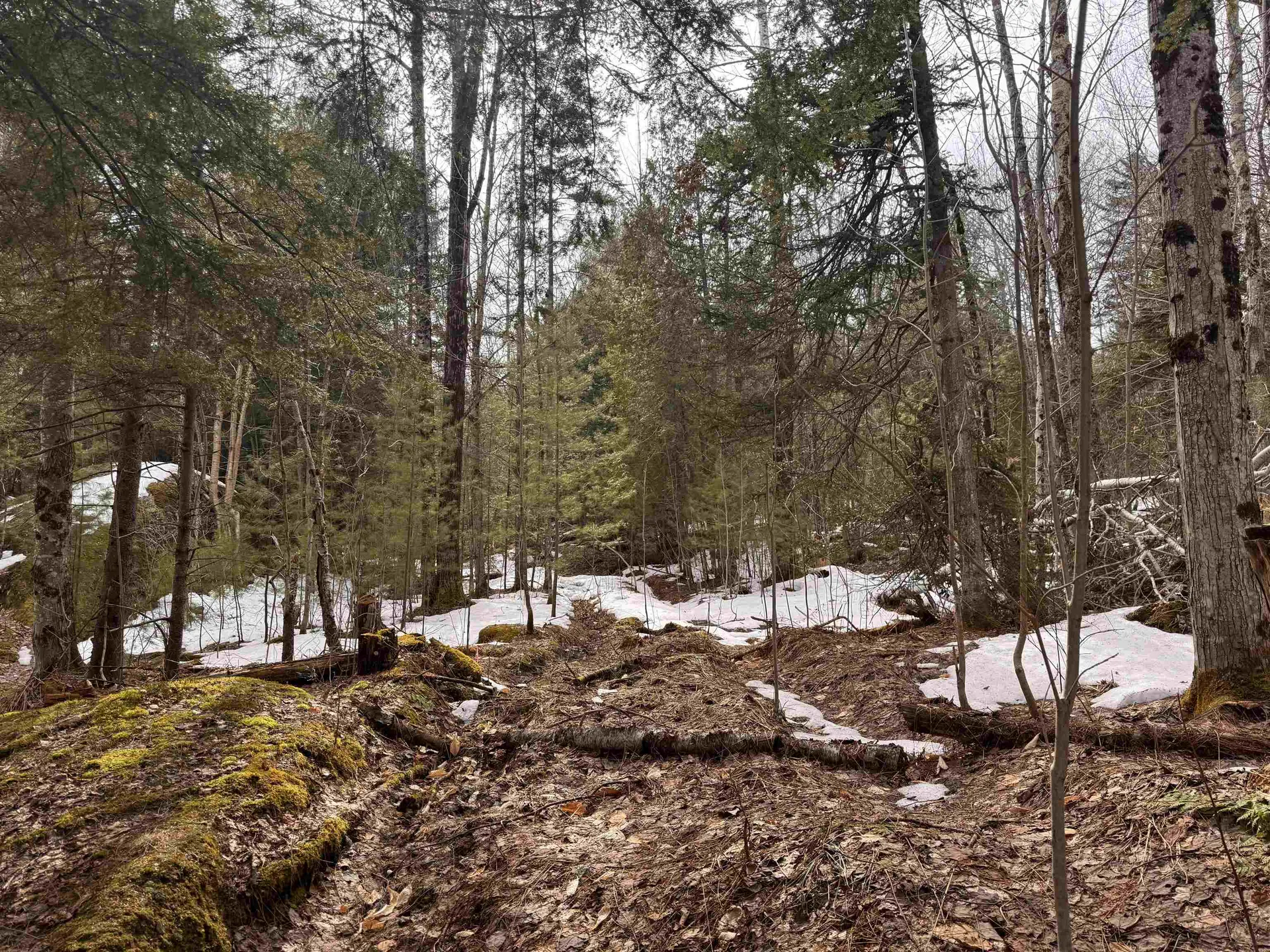 0 Cross Road Jay VT 05859