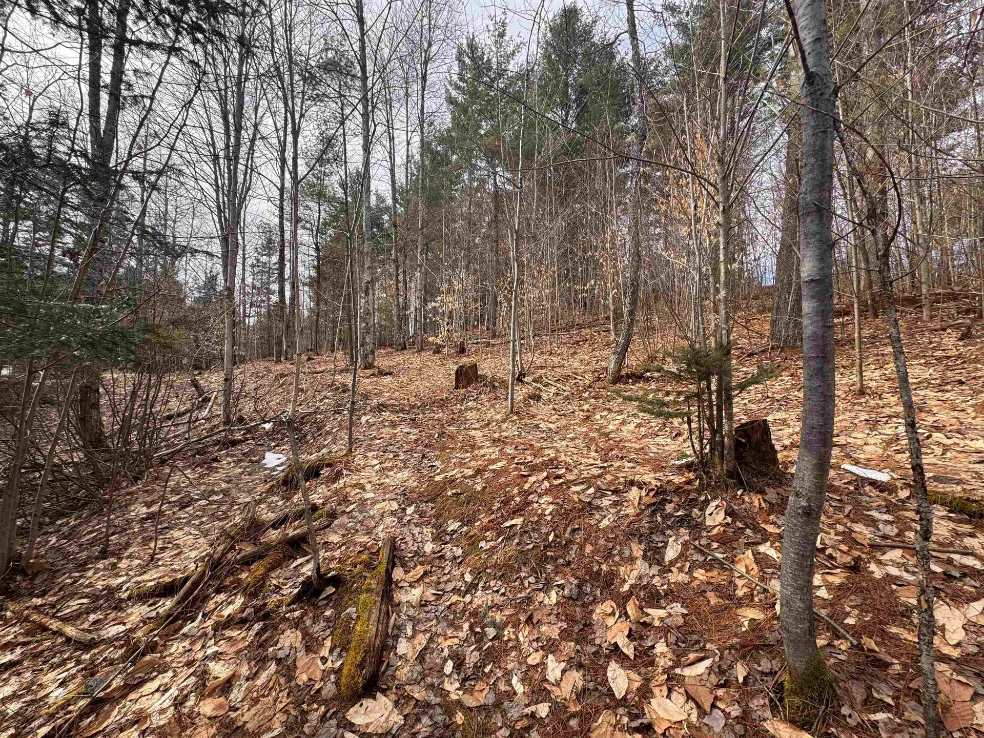 0 Cross Road Jay VT 05859