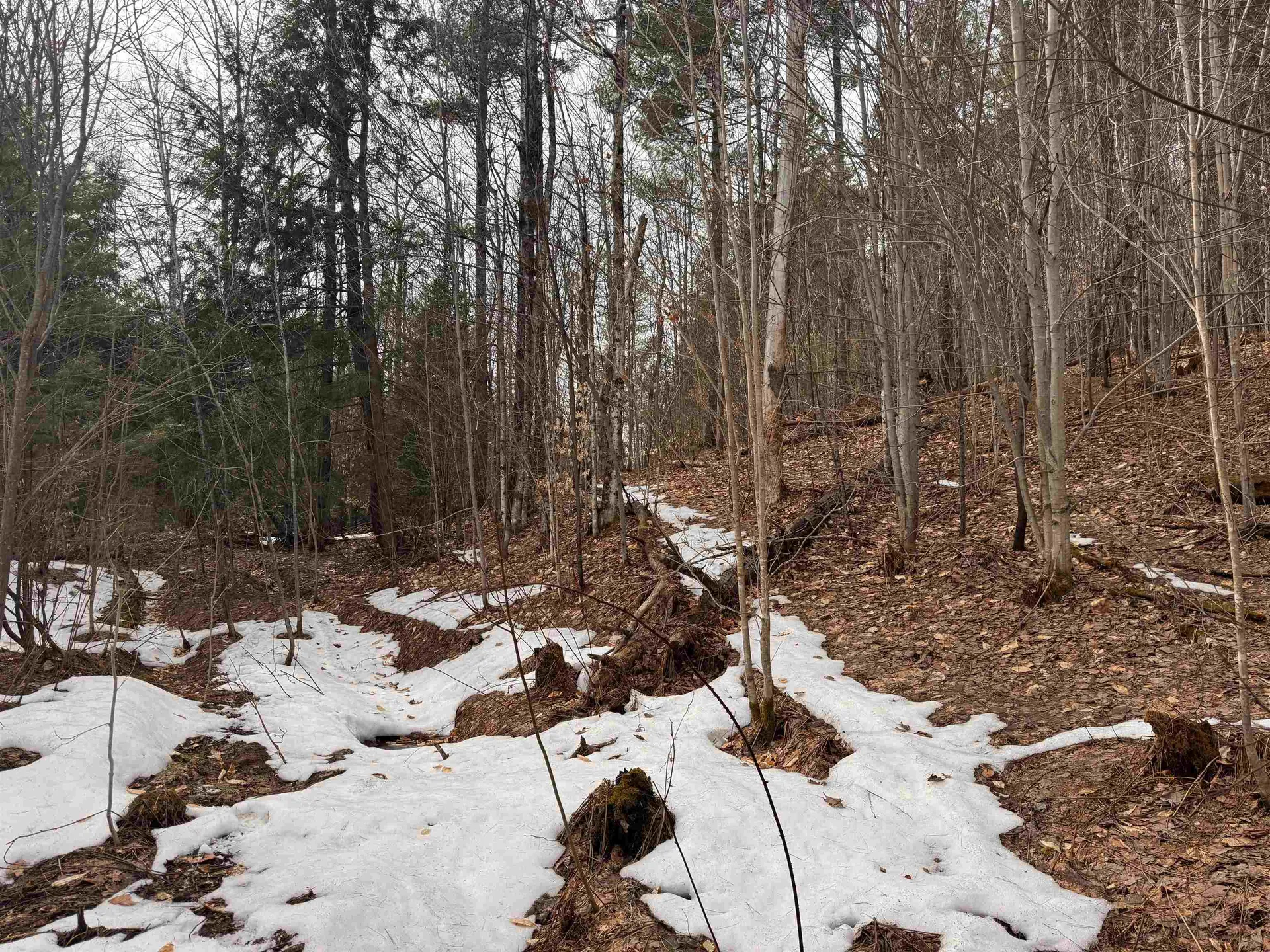 0 Cross Road Jay VT 05859