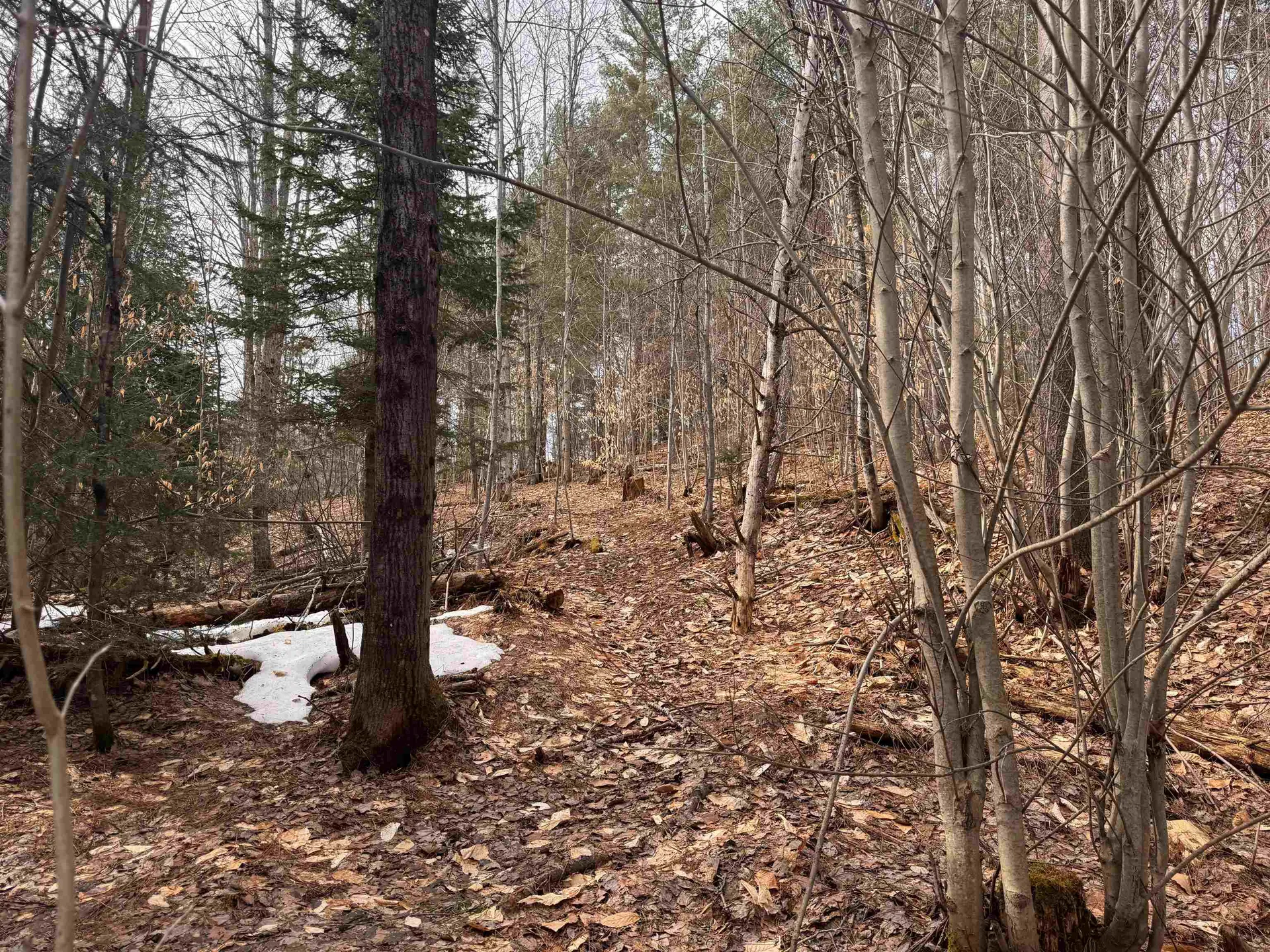 0 Cross Road Jay VT 05859