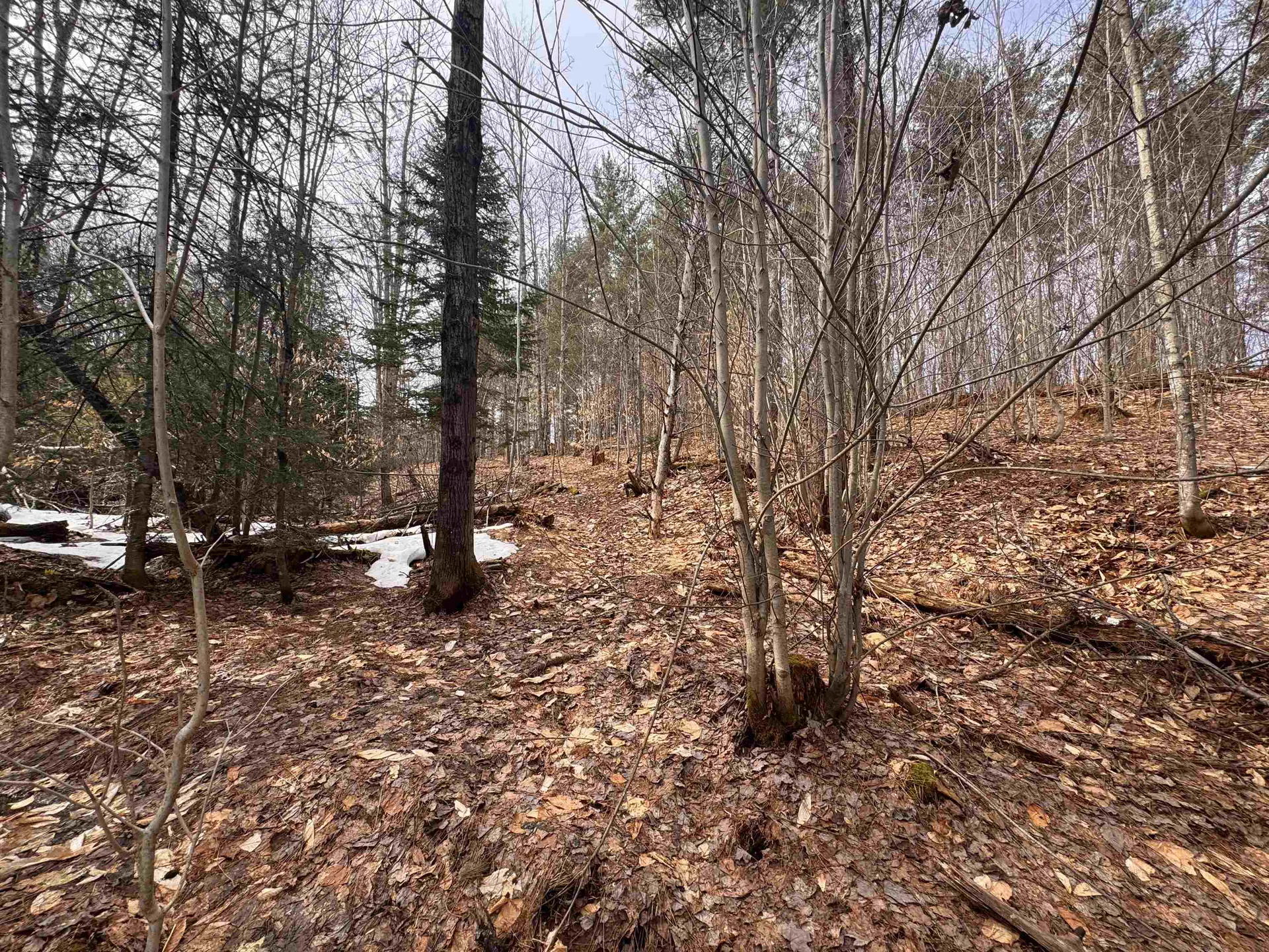 0 Cross Road Jay VT 05859