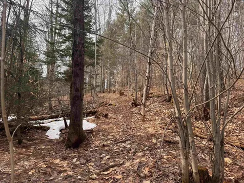 0 Cross Road Jay VT 05859