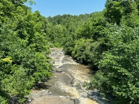 925 Falls Road Shelburne VT 05482