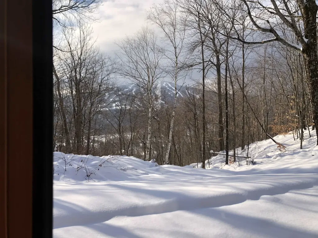 22 Old Ridge Road Winhall VT 05340