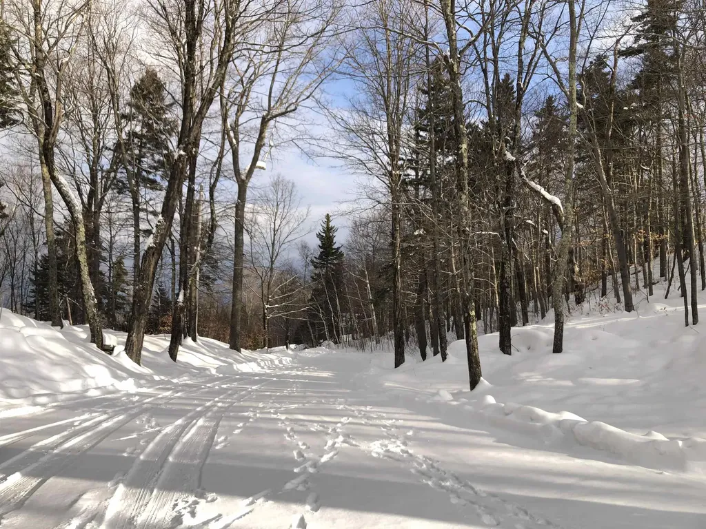 22 Old Ridge Road Winhall VT 05340