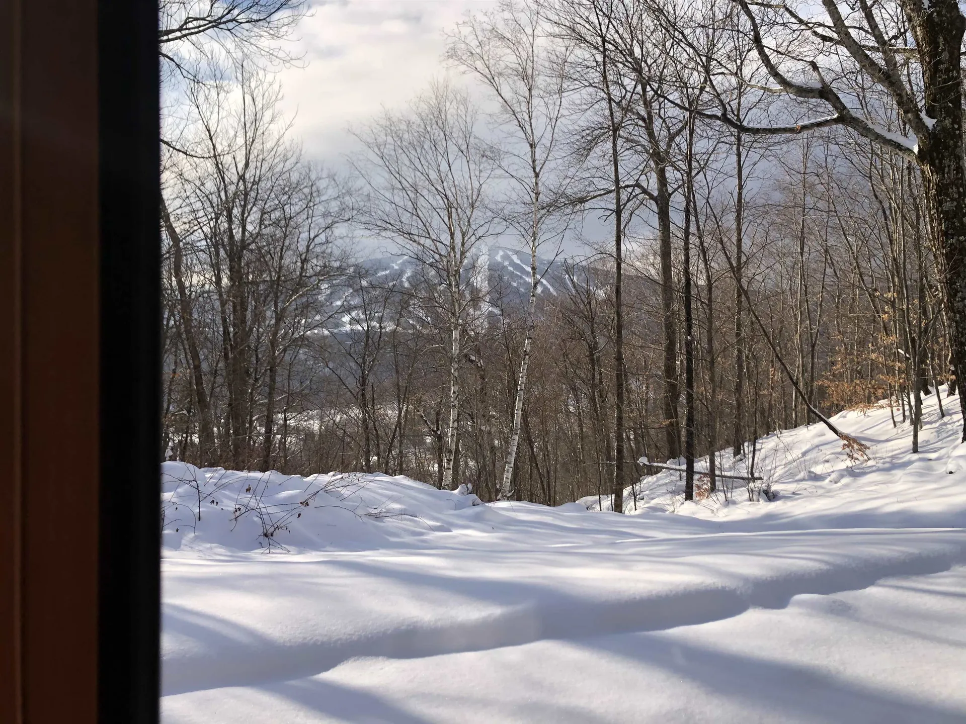 22 Old Ridge Road Winhall VT 05340