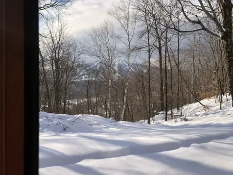 22 Old Ridge Road Winhall VT 05340