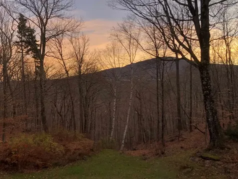 22 Old Ridge Road Winhall VT 05340