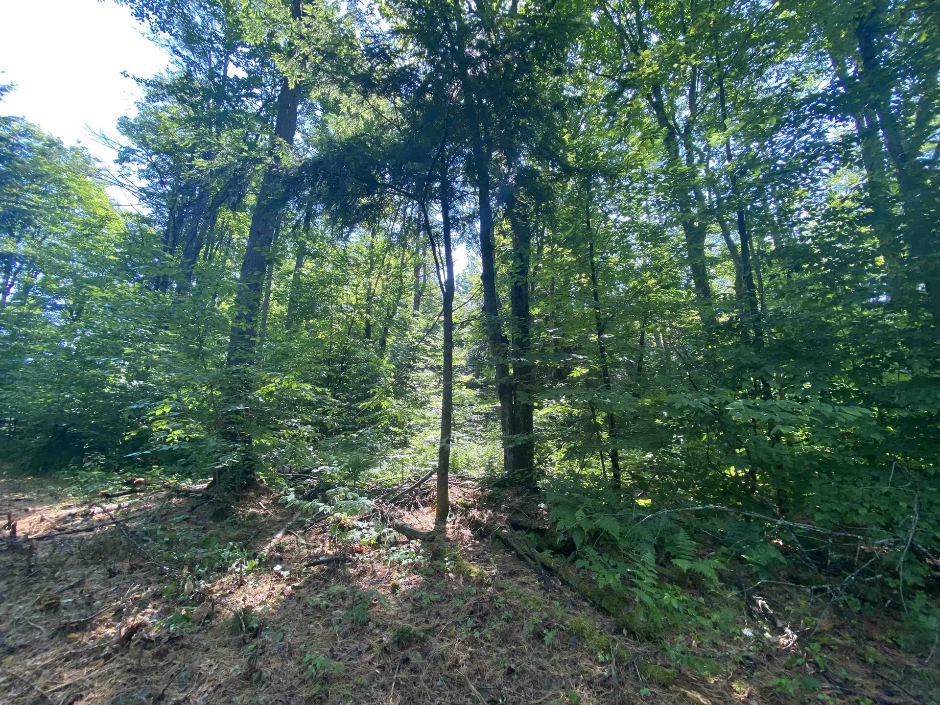 000 Russ Hill Road Royalton VT 05068