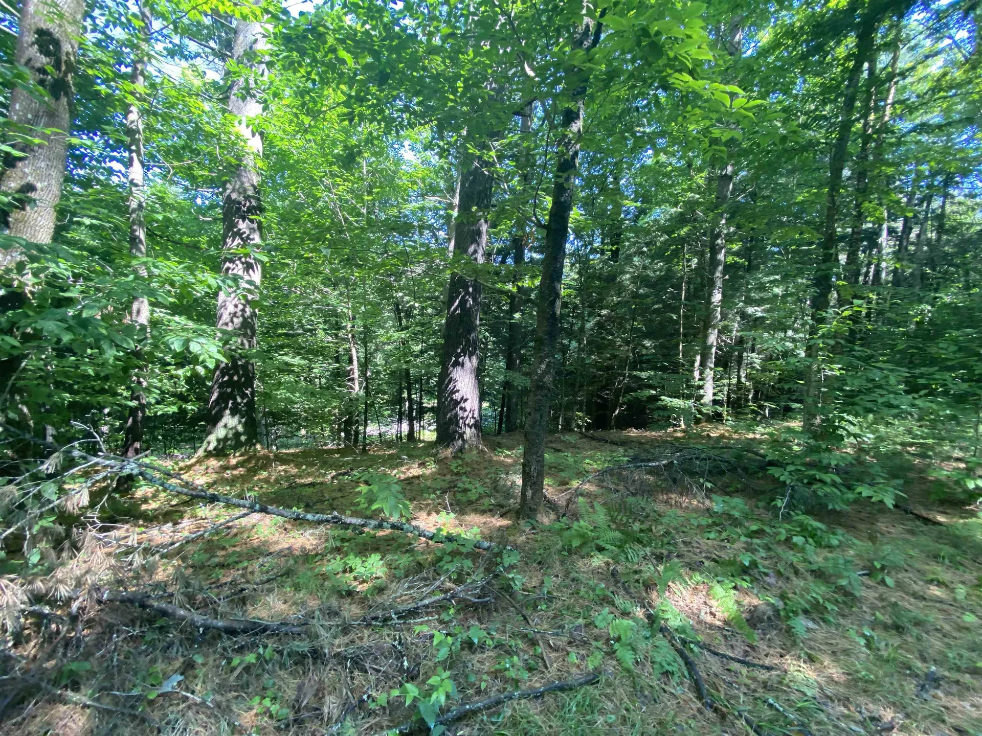 000 Russ Hill Road Royalton VT 05068