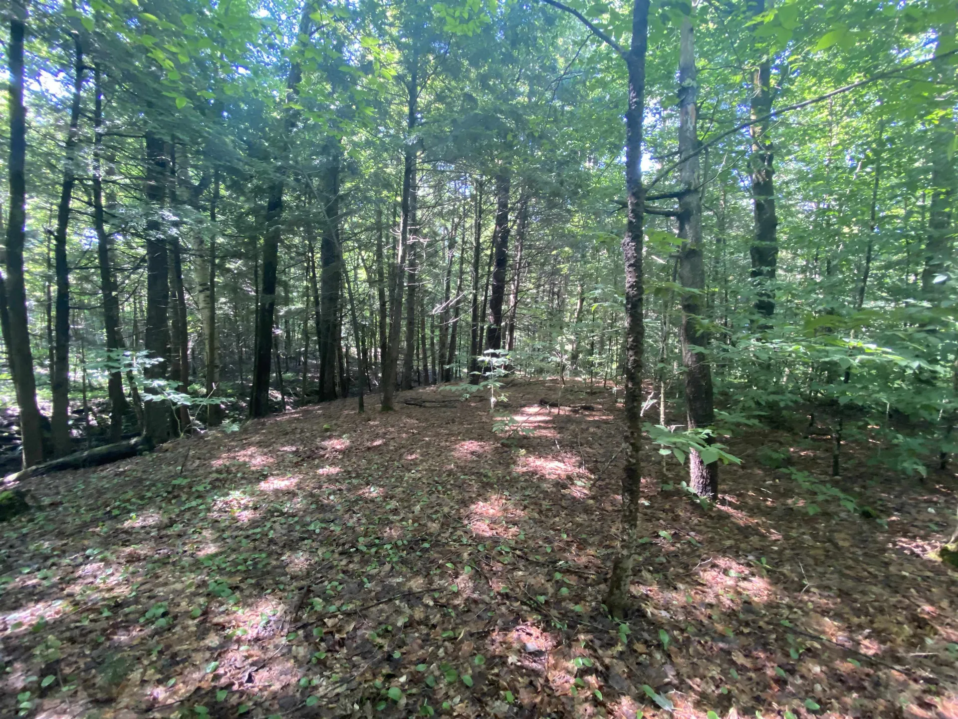 000 Russ Hill Road Royalton VT 05068