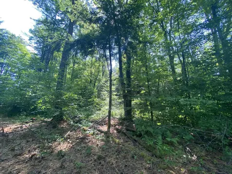 000 Russ Hill Road Royalton VT 05068