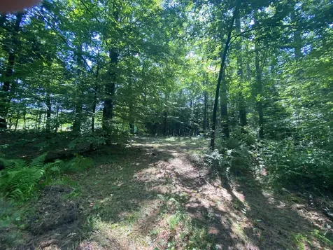 000 Russ Hill Road Royalton VT 05068