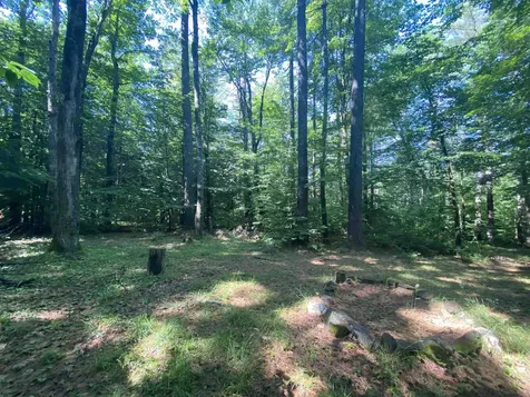 000 Russ Hill Road Royalton VT 05068