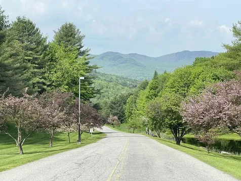 125 Redwood Drive Hyde Park VT 05655