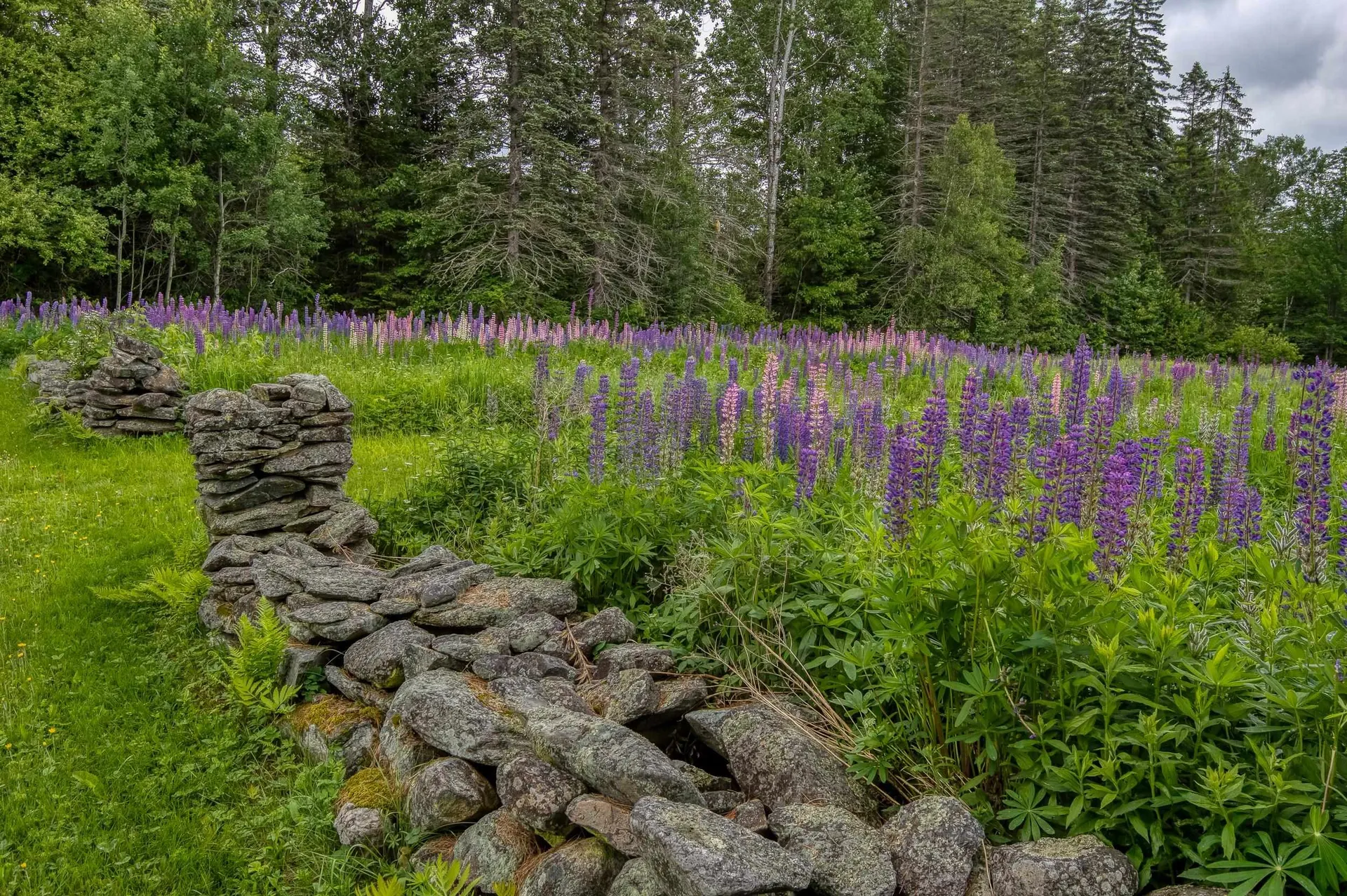 296 Mountain View Road Whitefield NH 03598