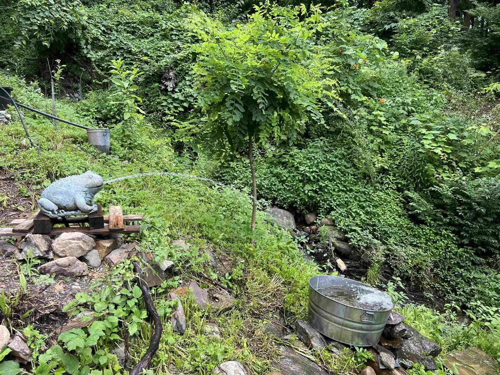 625 Western Avenue Brattleboro VT 05301