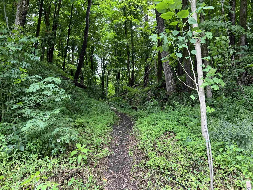 625 Western Avenue Brattleboro VT 05301