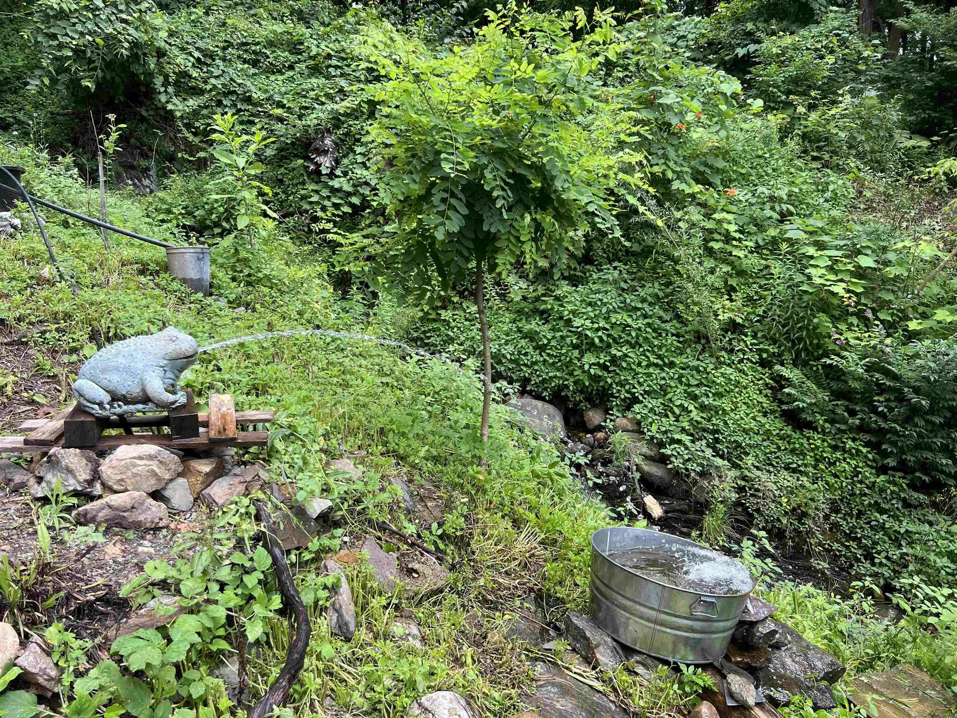 625 Western Avenue Brattleboro VT 05301