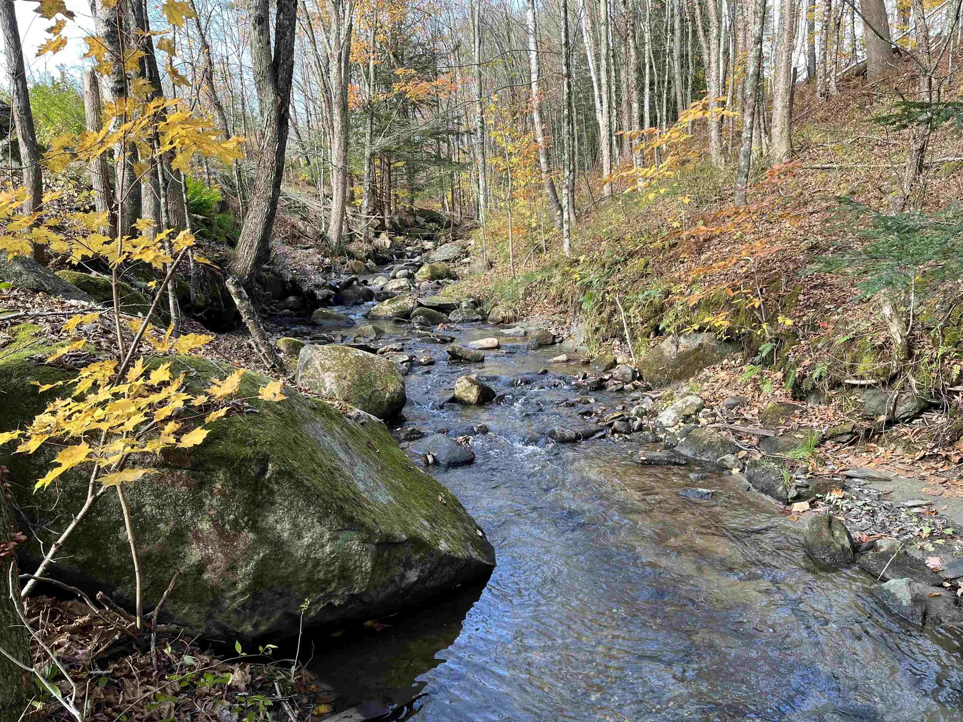 1328 Chandler Road Chester VT 05143