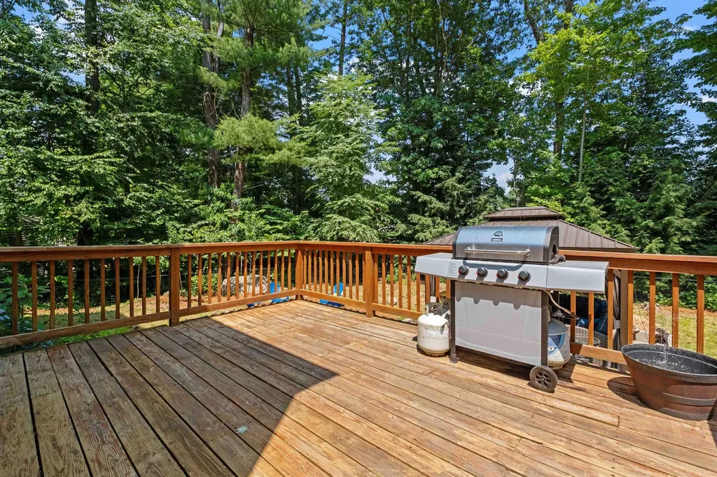 54 Alpine Street Milford NH 03055