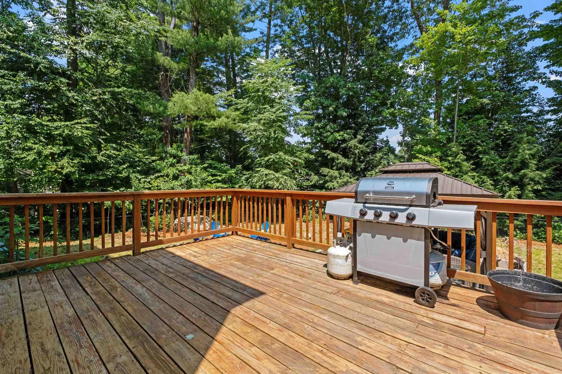54 Alpine Street Milford NH 03055