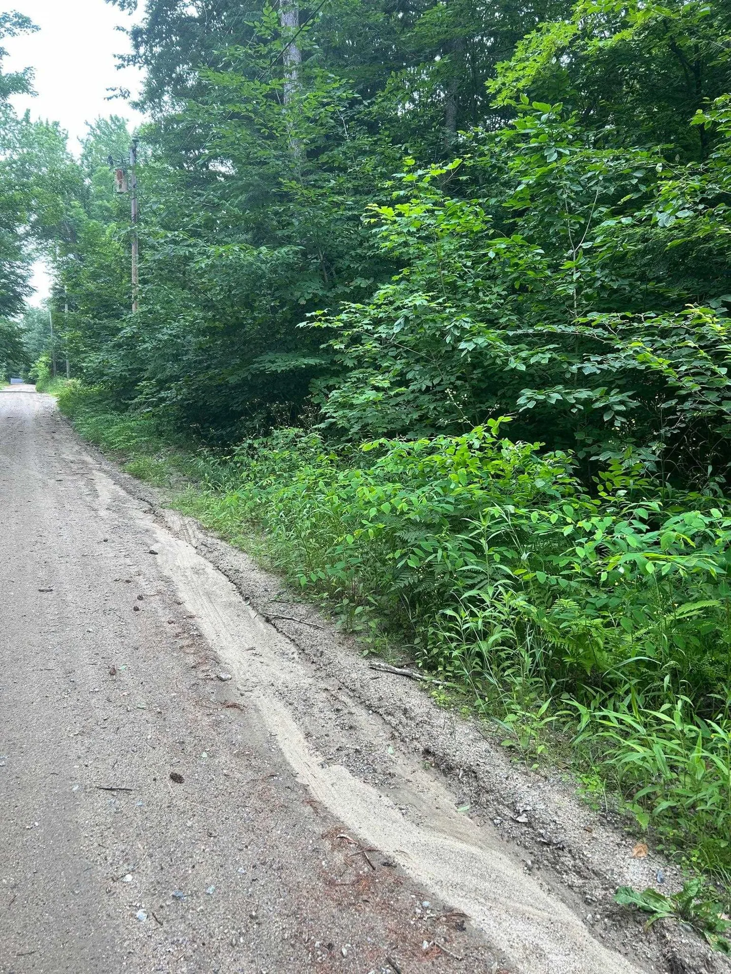 014 -194 Seminole Road Hillsborough NH 03244