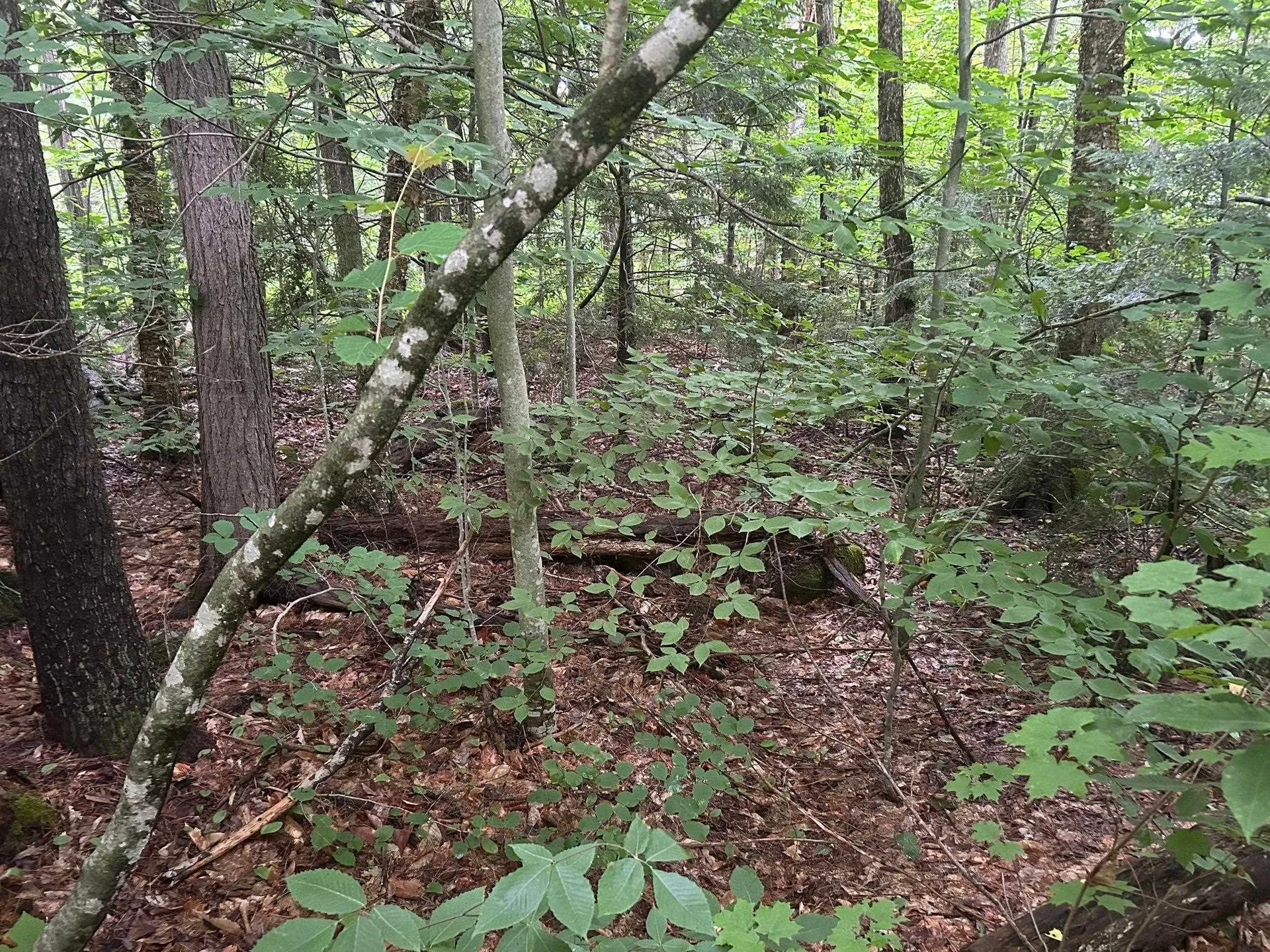 014 -194 Seminole Road Hillsborough NH 03244