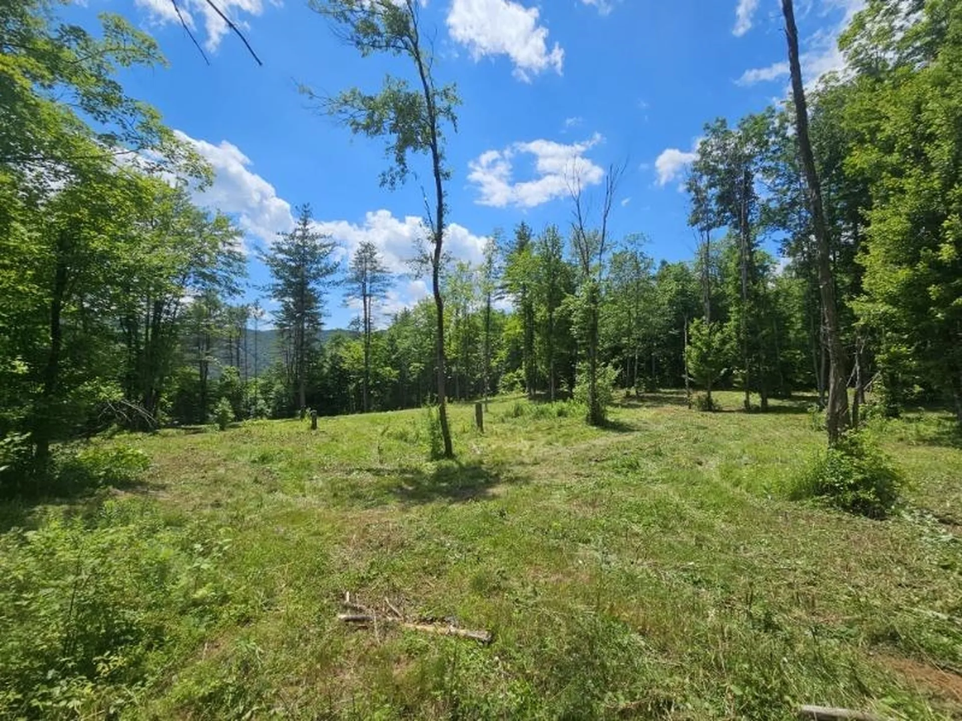 12 Sugar Lot Lane Jamaica VT 05343