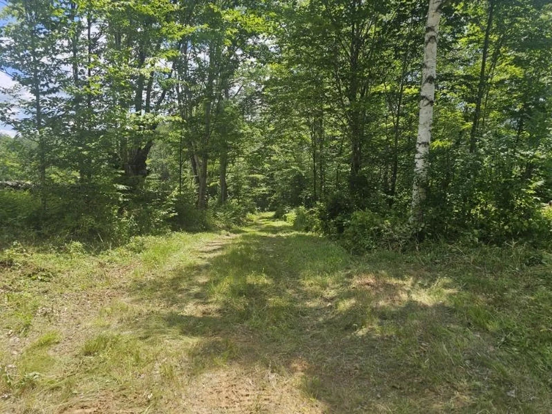 12 Sugar Lot Lane Jamaica VT 05343