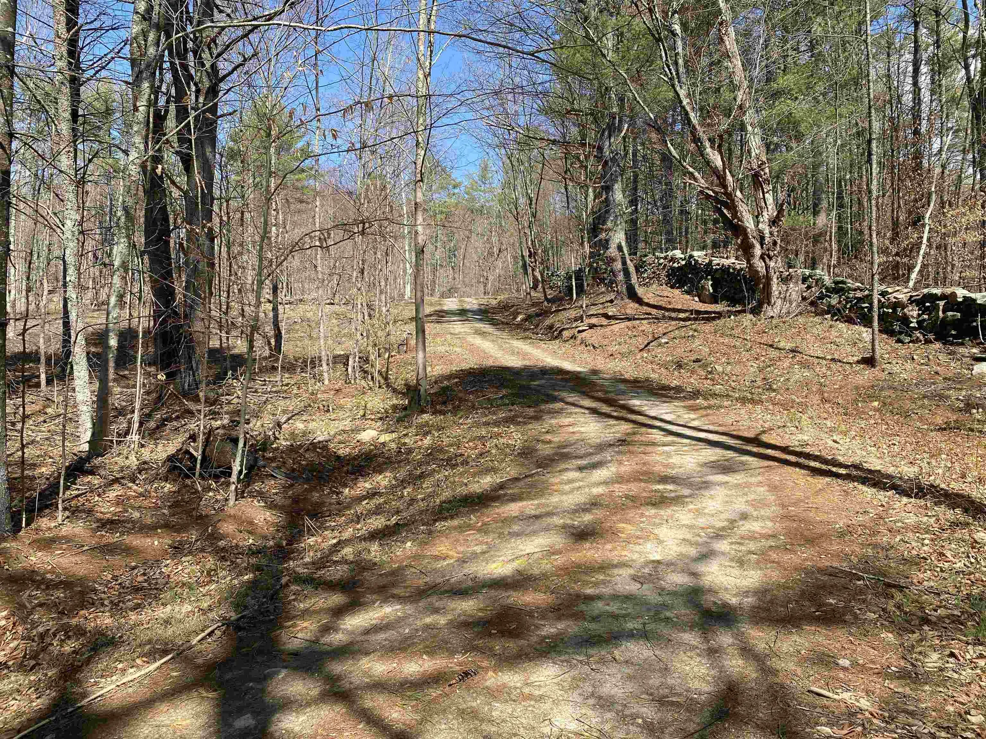 12 Sugar Lot Lane Jamaica VT 05343