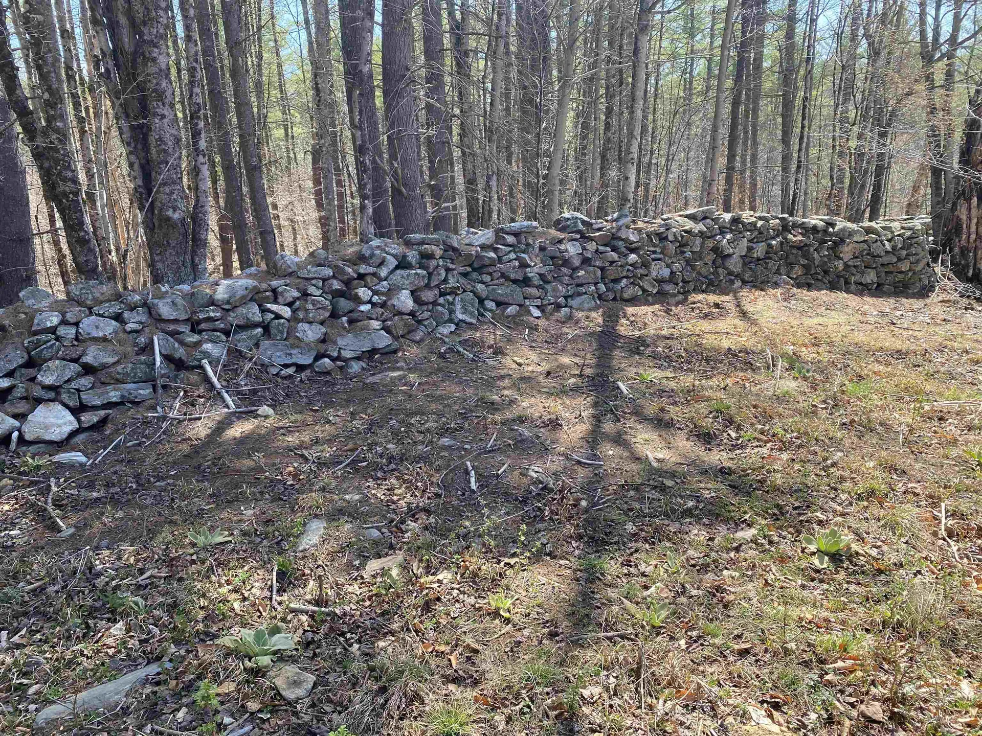 12 Sugar Lot Lane Jamaica VT 05343